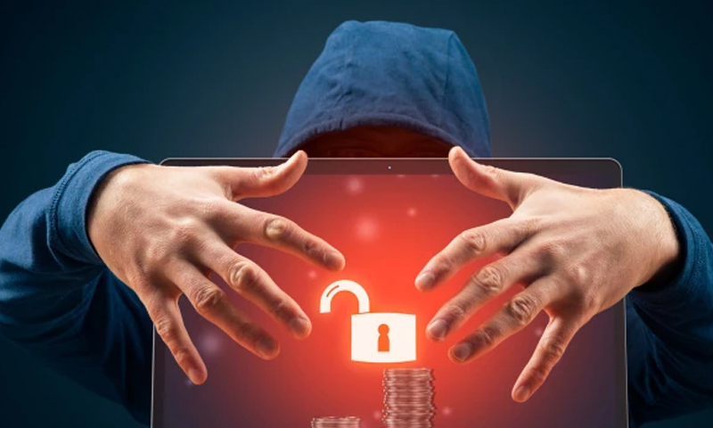 digital fraud