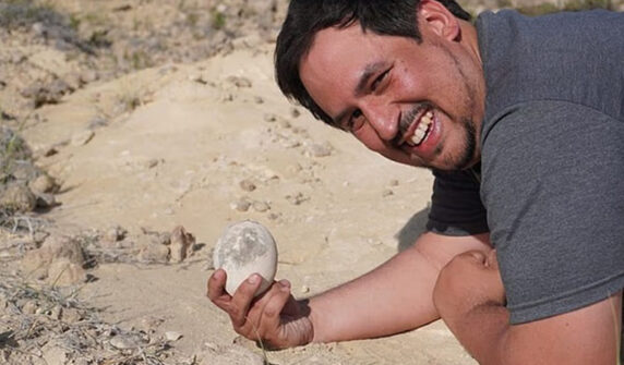 egg