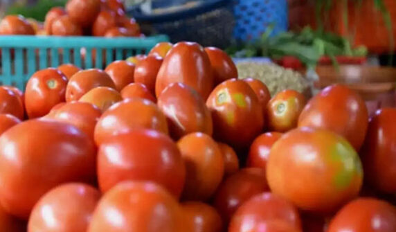 tomato